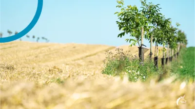 Cultivăm astăzi pământul pentru o pâine mai bună mâine