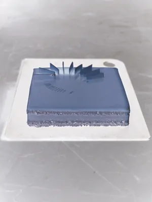 Tort Opera Amber