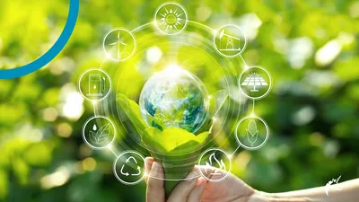 Ambalaj sustenabil și de ce contează