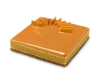 Tort Opera Amber