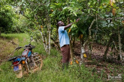 ​Să eliminăm definitiv exploatarea copiilor prin muncă din lumea ciocolatei 